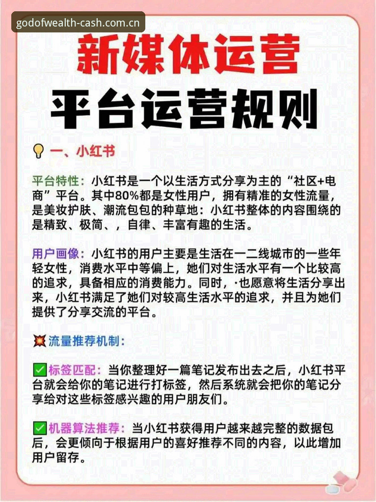 财神到平台安全使用完整指南：从新手到高手的深度解析